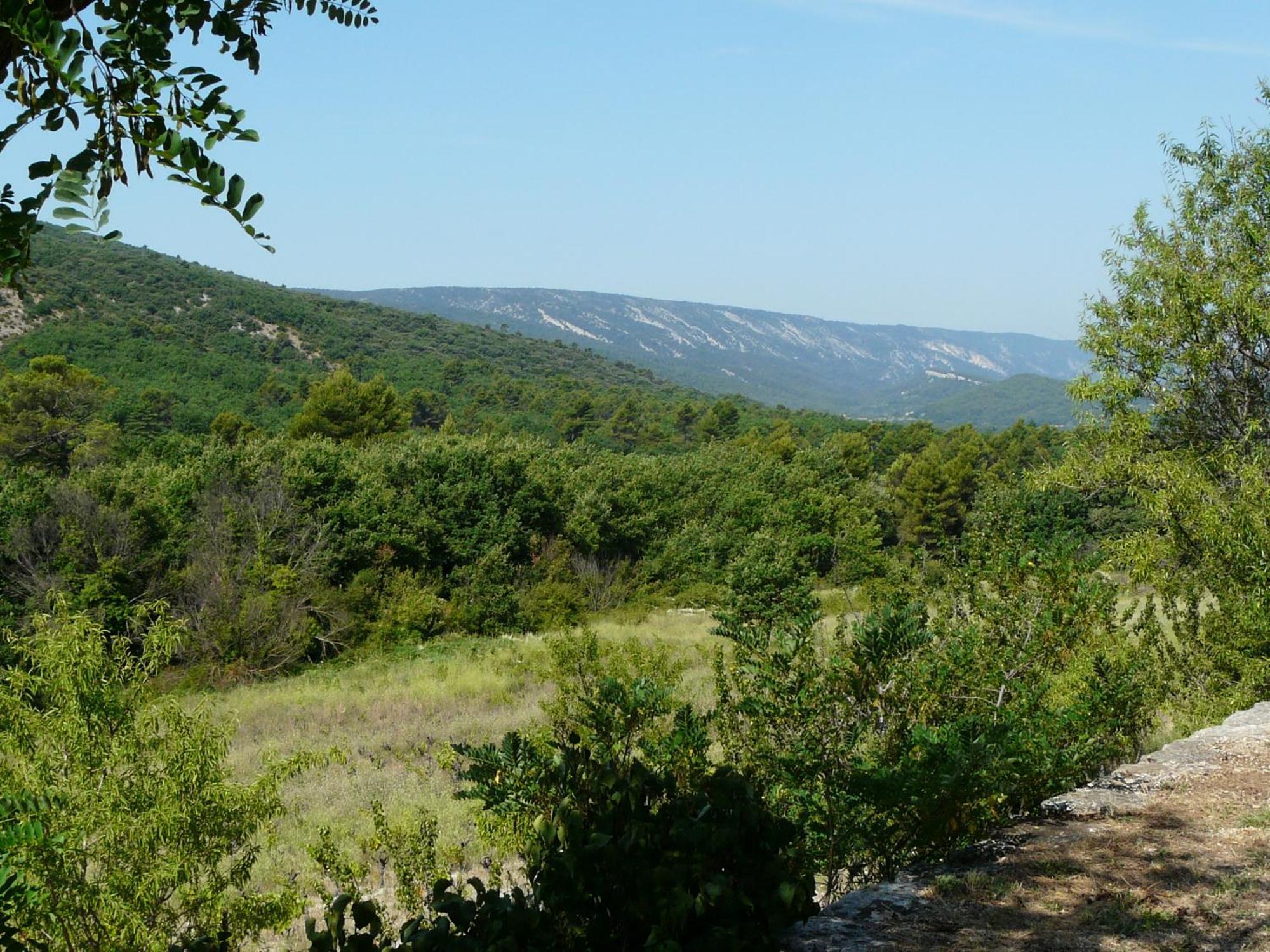فيلا 19Th Century Provencal Mas With Pool In Provence In The Luberon, Sleeps 6 لاكوست المظهر الخارجي الصورة