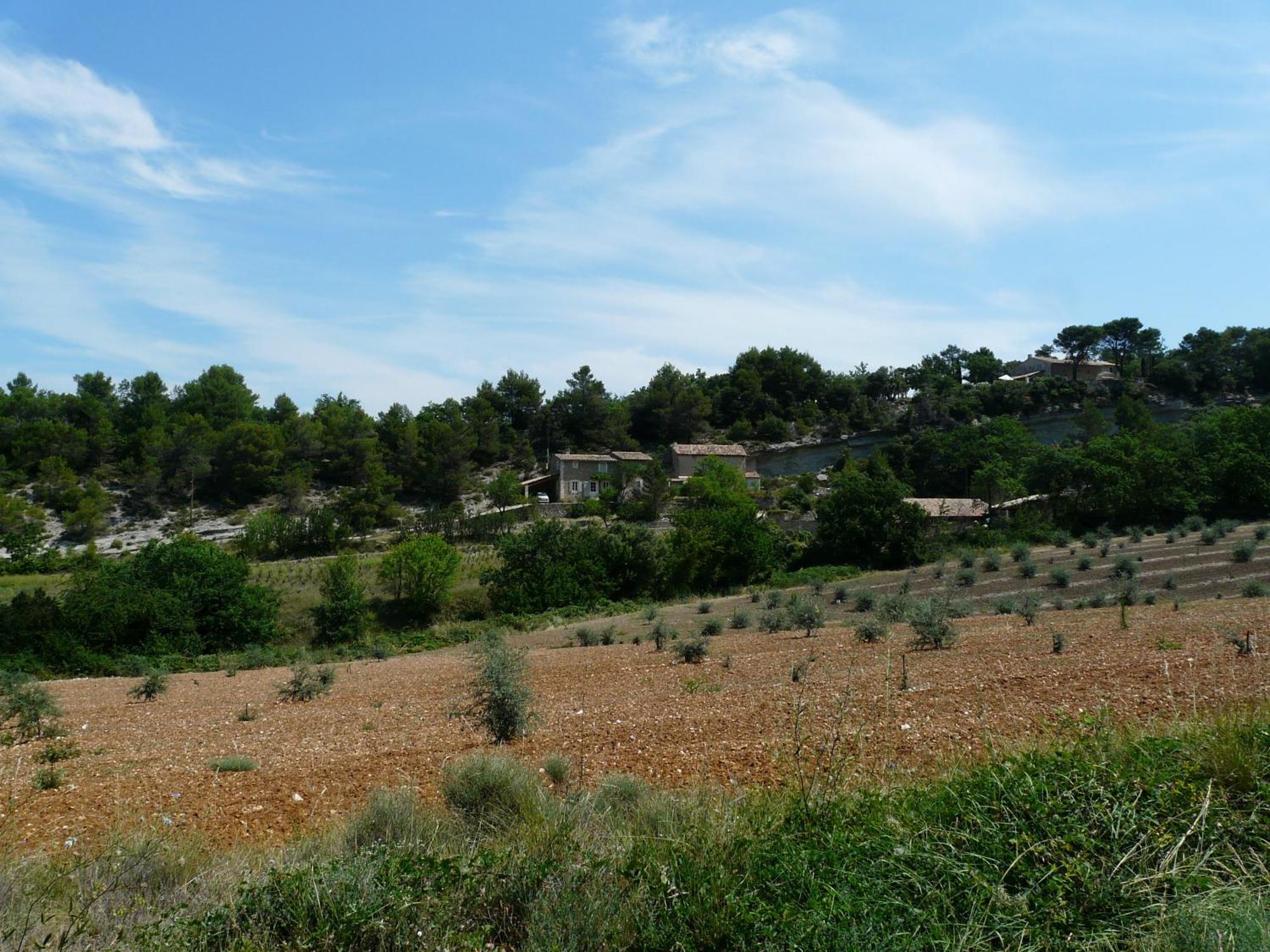 فيلا 19Th Century Provencal Mas With Pool In Provence In The Luberon, Sleeps 6 لاكوست المظهر الخارجي الصورة